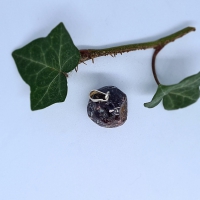 Gepolijst Granate 5x4cm