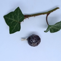 Gepolijst Granate 5x4cm